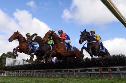 Ballarat tips - 16/08