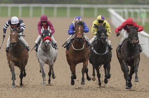 Ballarat tips - 30/06