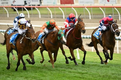 Ballarat tips for 03.04.2026