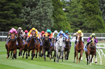 Ballarat tips for 06.12.2025