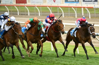 Ballarat tips for 10.03.2026