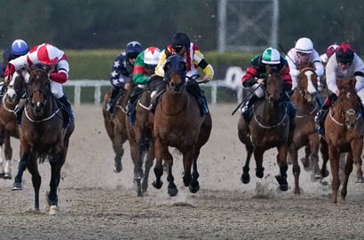 Ballarat tips for 24.06.2026