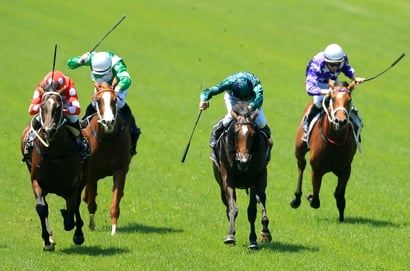Ballina tips - 21/06