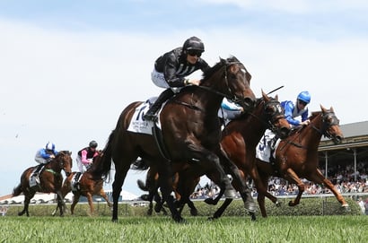 Beaumont Newcastle Betting Tips for December 16, 2025 - Herman Said Can Atone