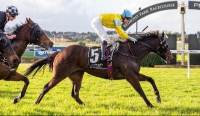 Belmont Park Racing