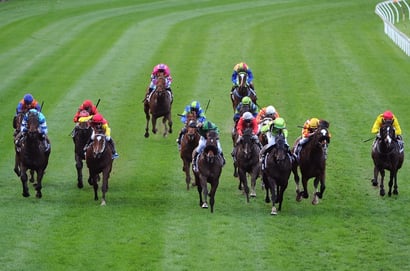 Belmont Tips for 17.05.2025