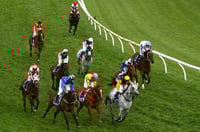 Belmont Tips for 24.05.2025