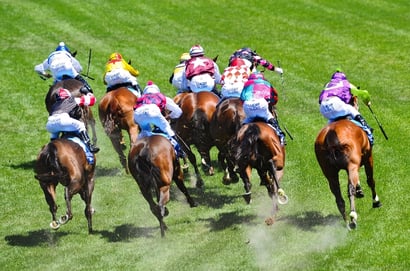 Belmont Tips for 26.03.2025