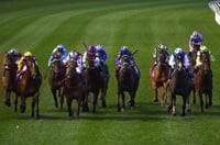 Belmont Tips for 26.07.2025