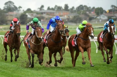 Belmont Tips for 30.07.2022