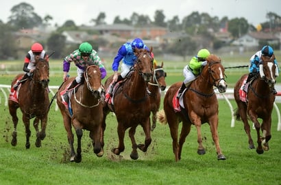 Belmont Tips for 30.07.2022
