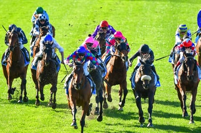 Belmont tips for 01.07.2026