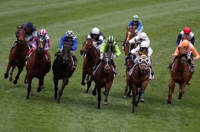 Belmont Betting Tips for August 1, 2026 - Confidence is Key
