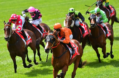 Belmont tips for 02.09.2026