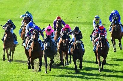Belmont tips for 08.07.2026