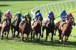 Belmont tips for 08.08.2026
