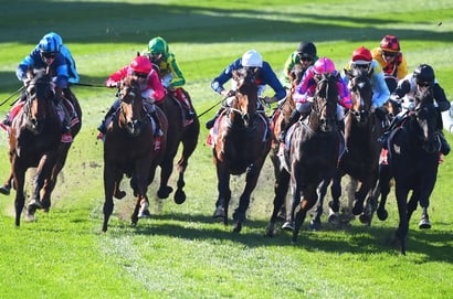 Belmont tips for 11.02.2026