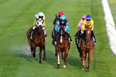 Belmont tips for 13.09.2025