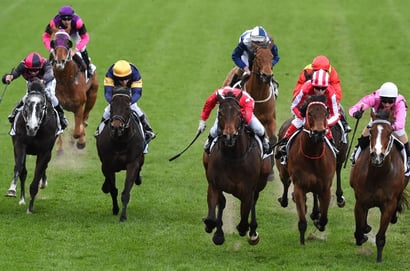Belmont tips for 16.08.2025