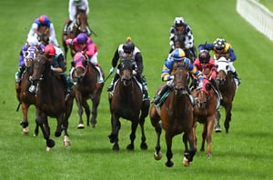 Belmont tips for 16.09.2026