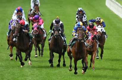 Belmont Betting Tips for September 16, 2026 - King Of The Town Wears the Crown