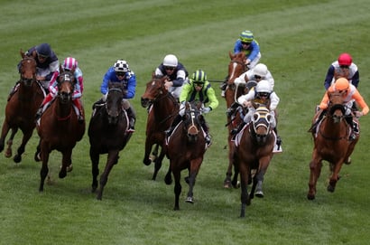 Belmont tips for 19.08.2026