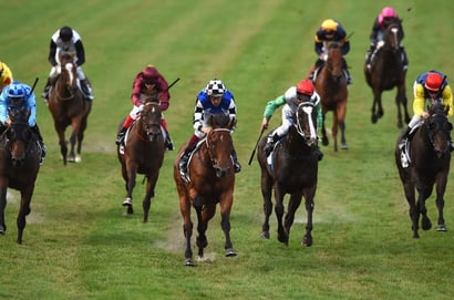 Belmont tips for 19.11.2025