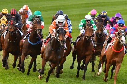 Belmont tips for 20.05.2026