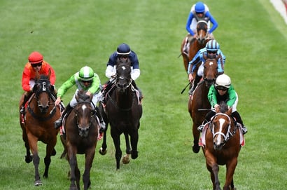 Belmont tips for 20.06.2026