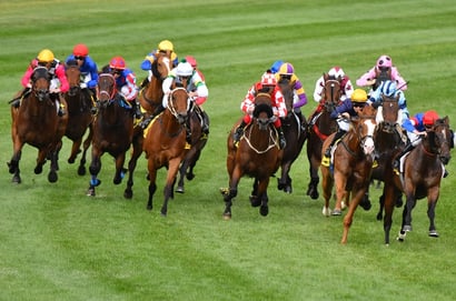 Belmont Betting Tips for August 22, 2026 - King Of Light Takes the Prince Crown