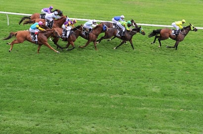 Belmont tips for 23.05.2026