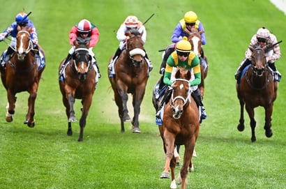 Belmont tips for 23.08.2025