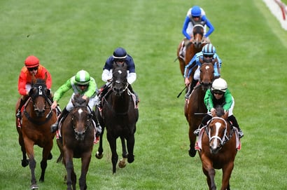 Belmont Betting Tips for August 26, 2026 - Marcos Ready to Make Amends