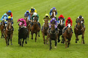 Belmont tips for 26.09.2026