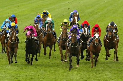 Belmont tips for 26.09.2026