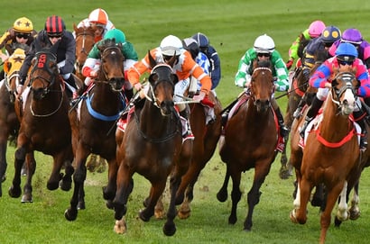 Belmont tips for 27.05.2026
