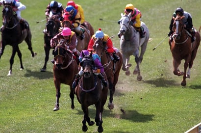 Belmont tips for 30.08.2025