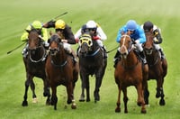 Benalla Tips for 11.03.2025