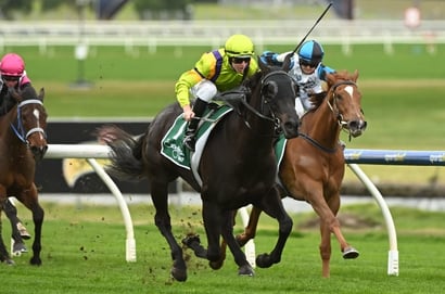Benalla Tips for 16.02.2025