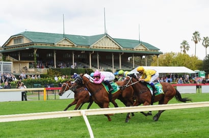 Bendigo Dabble - 12/08
