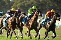 Bendigo Tips for 06.05.2025