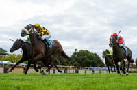 Bendigo Tips for 13.07.2025
