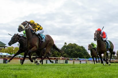 Bendigo Tips for 13.07.2025