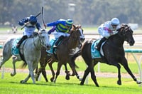Bendigo Tips for 14.05.2025