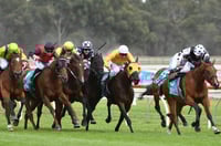Bendigo Tips for 14.08.2025