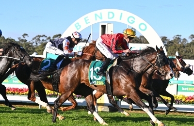 Bendigo Racing Tips for August 14- Promising youngster to fly over the 1000m in Race 7