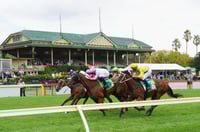 Bendigo Tips for 27.07.2025
