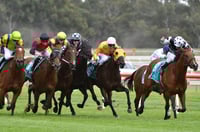 Bendigo Tips for 30.05.2025