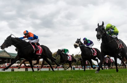 Bendigo tips for 25.06.2026
