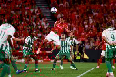 Rio Ave vs Benfica Predictions, Betting Tips & Lineups | 17 Jan 2026